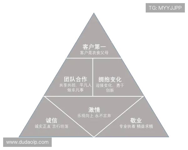 上海足球队在大师赛中的团队协作表现分析与启示