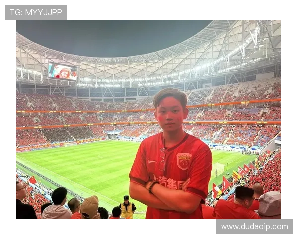 上海足球队在世界杯预选赛中的拼搏历程与荣耀追寻