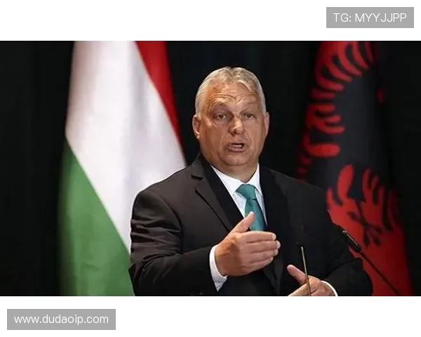 专访杨娜：探索她在篮球领域取得成功的秘诀与心路历程