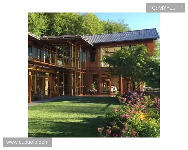 俄罗斯足球明星豪宅揭秘奢华生活背后的故事与风采