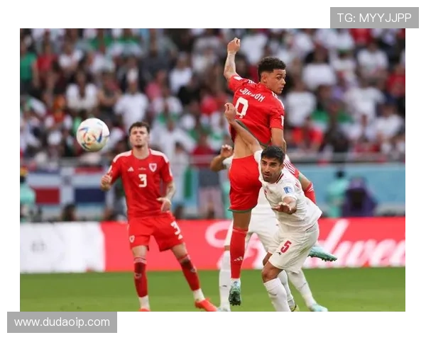 伊朗足球巨星崛起背后的故事与荣耀之路