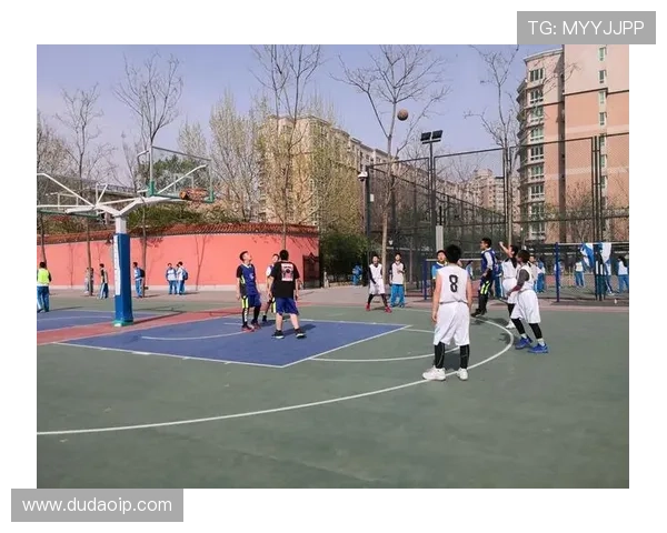 全运会特别报道：成都篮球队如何在逆境中崛起实现辉煌突破之路