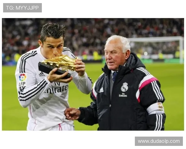 足球明星的成长历程与辉煌成就全方位解析