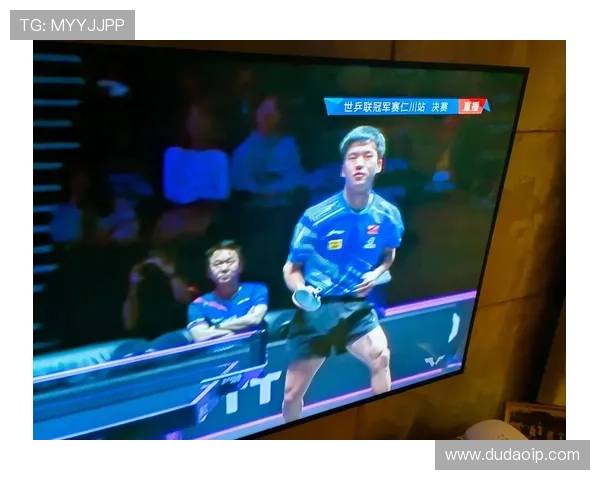 南京乒乓球队的转型之路与深度解析乒乓球运动的未来发展