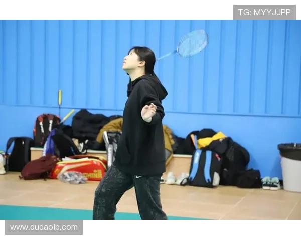 西安羽毛球队在精英赛中的耐力表现分析与总结